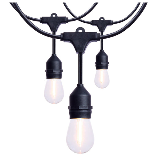 Nuvo Lighting 24ft LED String Light 12-S14 Lamps | Decorative Black and Warm White Glass | Outdoor Patio & Party Room | Model S8020R1