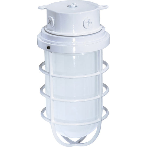 Nuvo SF76-618 11in 1-Light Outdoor Flush Mount | Industrial White and Frosted Glass | Covered Patio & Entryway | 11 x 5.5 in | Model SF76-618
