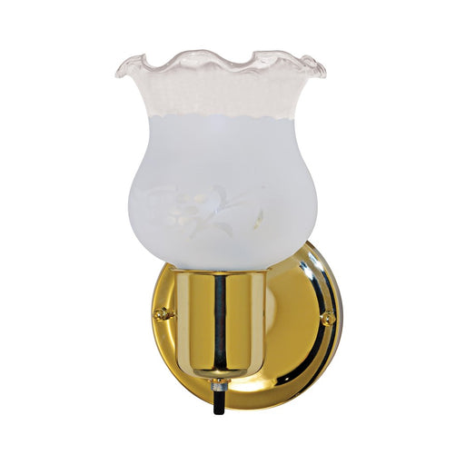 Nuvo SF77 1-Light Vanity Light | Traditional Polished Brass and Frosted Grape Glass | Powder Room & Bathroom Vanity | 4.5 x 4.875 x 7.75 | Model SF77-120B