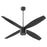 Oxygen Lighting Samaran 60" Ceiling Fan, Black - 3-116-15