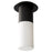Oxygen Lighting Pilar Lg Acrylic 2700K Ceiling Mount, Black - 3-309-27215