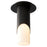 Oxygen Lighting Ellipse Sm Glass 2700K Ceiling Mount, Black