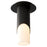 Oxygen Lighting Ellipse Sm Acrylic 4000K Ceiling Mount, Black