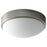 Oxygen Lighting Journey 622 1Lt UV 2700K Gl Ceiling Mount, Nickel - 3-622-2724