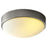 Oxygen Lighting Journey 622 1Lt UV 4000K Gl Ceiling Mount, Nickel
