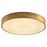 Oxygen Lighting Floe 24" 5Cct Ceiling Mt, Brushed Brass