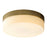 Oxygen Lighting Zuri 2700K 11" Ceiling Mount 120/277V, Ab