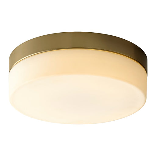 Oxygen Lighting Zuri 2700K 11" Ceiling Mount 120/277V, Ab
