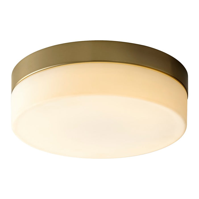 Oxygen Lighting Zuri 2700K 11" Ceiling Mount 120/277V, Ab