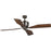 Progress Lighting Chapin 54" 4-Blade Ceiling Fan