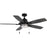 Progress Freestone 2 Light Ceiling Fan/Light Kit, Black/Frost - P250095-31M-WB