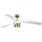 Progress Insigna 3 Blade 60" Ceiling Fan, Brass/White/Frosted - P250112-163-30