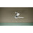 Progress Lighting Axion II 52" LED 1Lt Ceiling Fan, Nickel/Silver