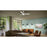 Progress Lighting Axion II 52" LED 1Lt Ceiling Fan, White/White