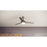 Progress Lighting Nolyn 52" LED 1Lt Ceiling Fan, Nickel/Silver
