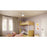 Progress Lighting Nolyn 52.00" LED 1Lt Ceiling Fan, White/White
