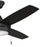 Progress Lighting Nolyn 52.00" LED 1Lt Ceiling Fan, Black/Black