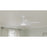 Progress Lighting Nolyn V 52" LED 1Lt Ceiling Fan, White/White