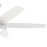 Progress Lighting Nolyn V 52" LED 1Lt Ceiling Fan, White/White