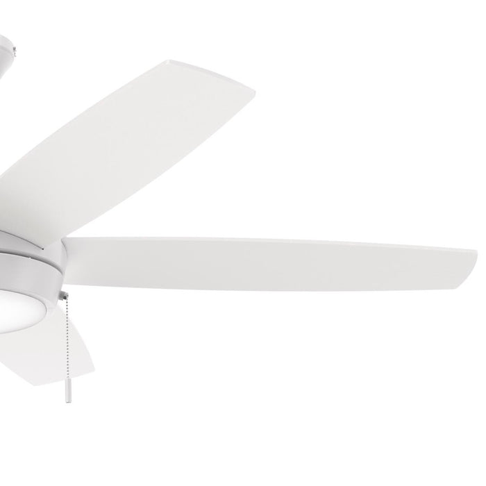 Progress Lighting Nolyn V 52" LED 1Lt Ceiling Fan, White/White