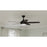 Progress Lighting Nolyn V 52" LED 1Lt Ceiling Fan, Black/Black