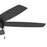Progress Lighting Nolyn V 52" LED 1Lt Ceiling Fan, Black/Black