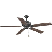 P2562-80-2.jpg