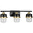Progress Lighting Beckner 3-Light Bath Light