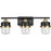 Progress Lighting Beckner 3-Light Bath Light