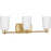 Progress Lighting Adley 3-Light Bath Vanity Light