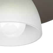 P350233-009-7.jpg