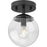 Progress Lighting Atwell 1 Light Semi-Flush Mount, Black/Clear - P350234-31M