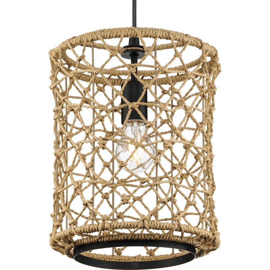 Progress Lighting Chandra 1 Light 10" Pendant, Matte Black - P500419-31M