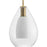 Progress Lighting Carillon 9.87" Pendant, Brushed Gold/Clear - P500438-191