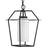 Progress Lighting Chilton 1-Lt Black/Opal Outdoor Hanging Light