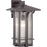 Progress Lighting Cullman Wall Lantern, Seeded/Bronze