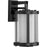 Progress Lighting Irondale 1-Light Wall Lantern, Black/Clear