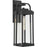 Progress Walcott 1 Light 20" Outdoor Wall Lantern, Black/Clear - P560287-031