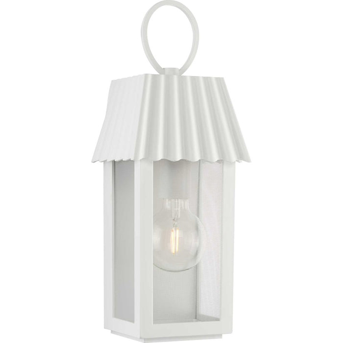 Progress Point Dume Hook Pond 1Lt SM Wall Lantern, WH/Clear/Silver - P560305-192