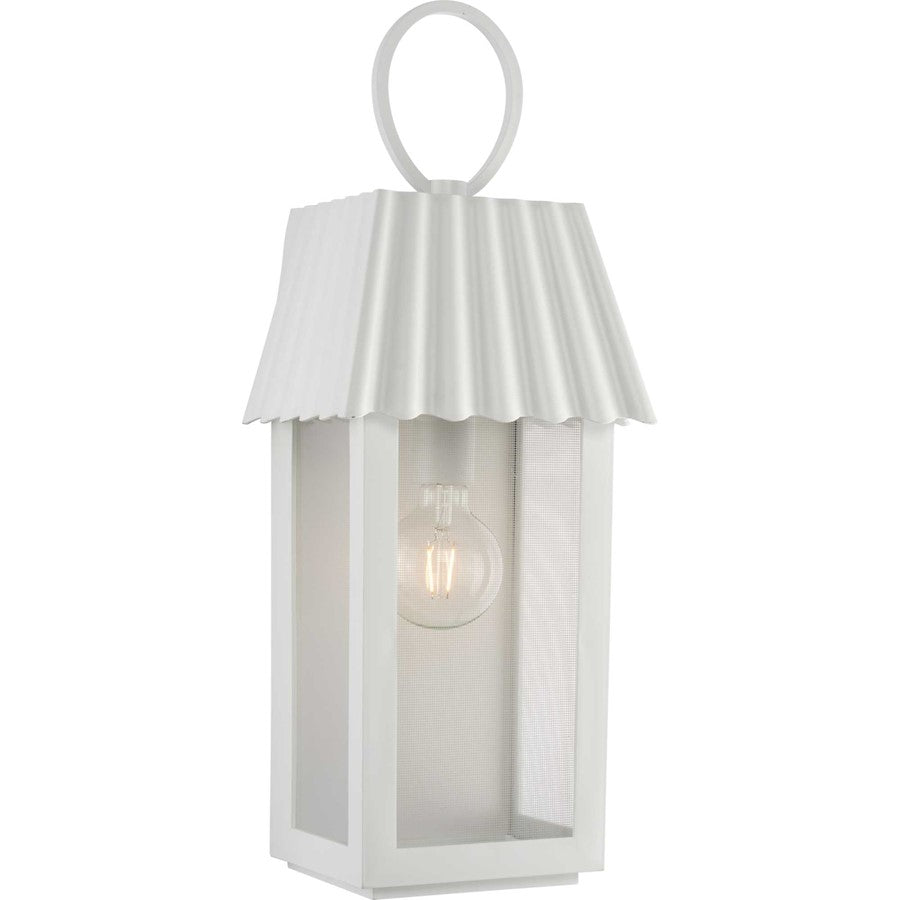 Progress Point Dume Hook Pond 1Lt LG Wall Lantern, WH/Clear/Silver - P560306-192