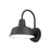 Maxim Lighting Pier M 1-Light Outdoor 10.75" Wall Sconce, Black - 35015BK