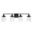 OPEN BOX: HomePlace by Capital Colton 4 Light Vanity, Black - 128841MB-451