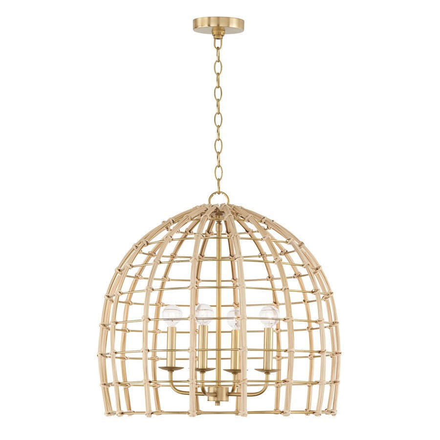 OPEN BOX: Capital Lighting Wren 4 Light Pendant, Matte Brass - 344141MA