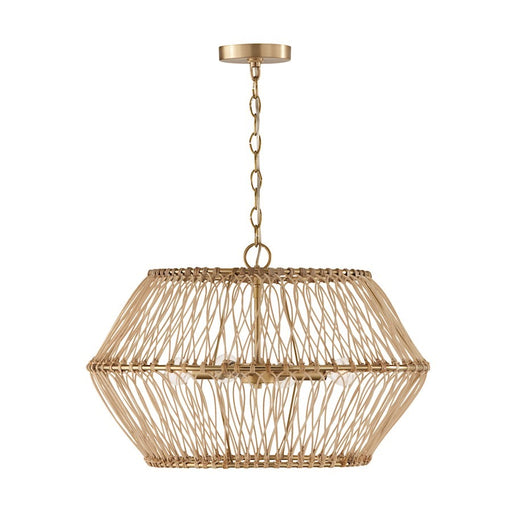 OPEN BOX: Capital Lighting Wren 4 Light Pendant, Brass/Natural