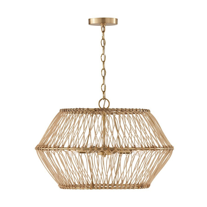 OPEN BOX: Capital Lighting Wren 4 Light Pendant, Brass/Natural