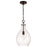OPEN BOX: HomePlace Brentwood 1 Light Pendant, Black/Clear Seeded