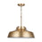 OPEN BOX: Austin Allen & Co. Oakwood 1-Light Pendant, Aged Brass - CL9D328A