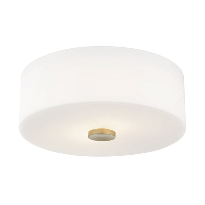 OPEN BOX ITEM: Mitzi by Hudson Valley Sophie 3-Lt Flush, AB