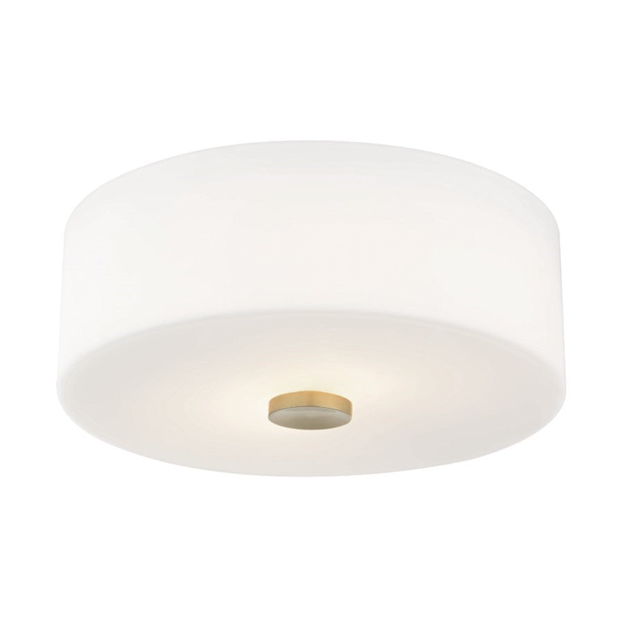 OPEN BOX ITEM: Mitzi by Hudson Valley Sophie 3-Lt Flush, AB