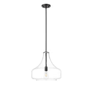 OPEN BOX: Millennium Madelynn 16in 1-Light Pendant | Matte Black and Clear Glass | Kitchen Island & Dining Room | 16 x 16 x 16 in | Model MN20301-MB